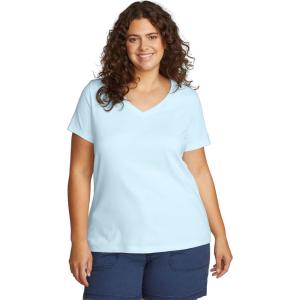 Eddie Bauer Women’s Favorite Short-Sleeve V-Neck T-Shirt(Pale Blue)