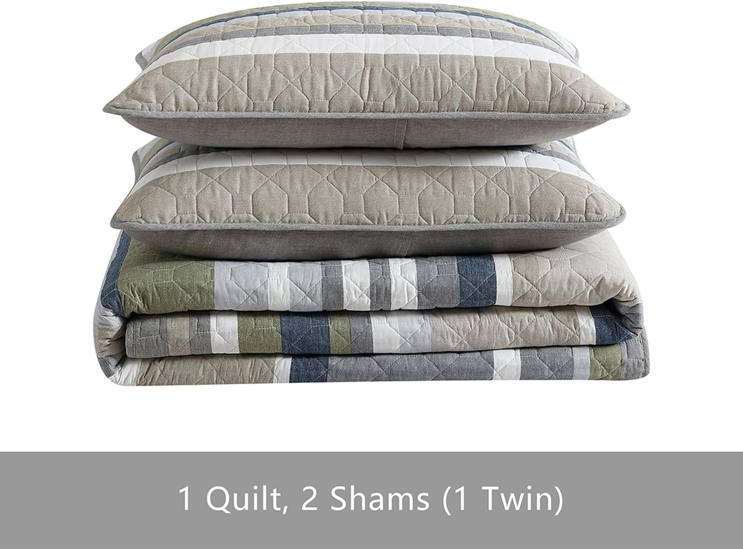 imageEddie Bauer Twin Quilt Set Reversible Bedding with Matching Sham Lightweight Home Decor for All Seasons Hidden Lake Blue TwinSalmon Ladder Beige