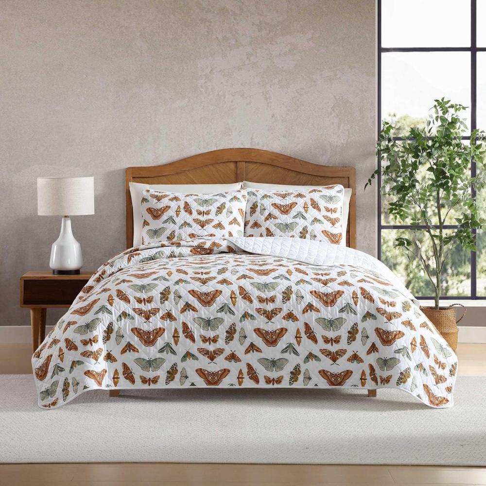 imageEddie Bauer  Quilt Set Super Soft Bedding with Matching Sham Smooth ampamp Breathable Classic Home Essentials Wilford Butterfly Beige TwinWilford Butterfly Beige