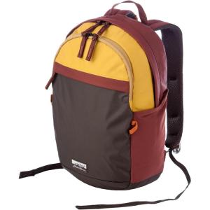 Eddie Bauer 30L Venture Backpack, Hydration and Laptop Compatible Daypack, Carbon Black(Redwood/Antique Gold)