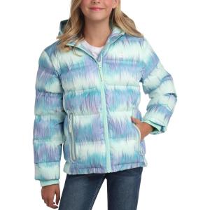 Eddie Bauer Girls’ Winter Jacket – Heavyweight Quilted Down Jacket – Insulated Hooded Outerwear Coat for Girls (5-20)(Brook Green)